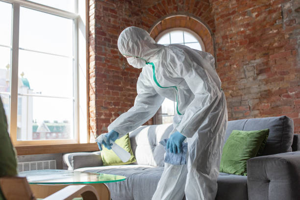 Best Mold Prevention Services in West Easton, PA